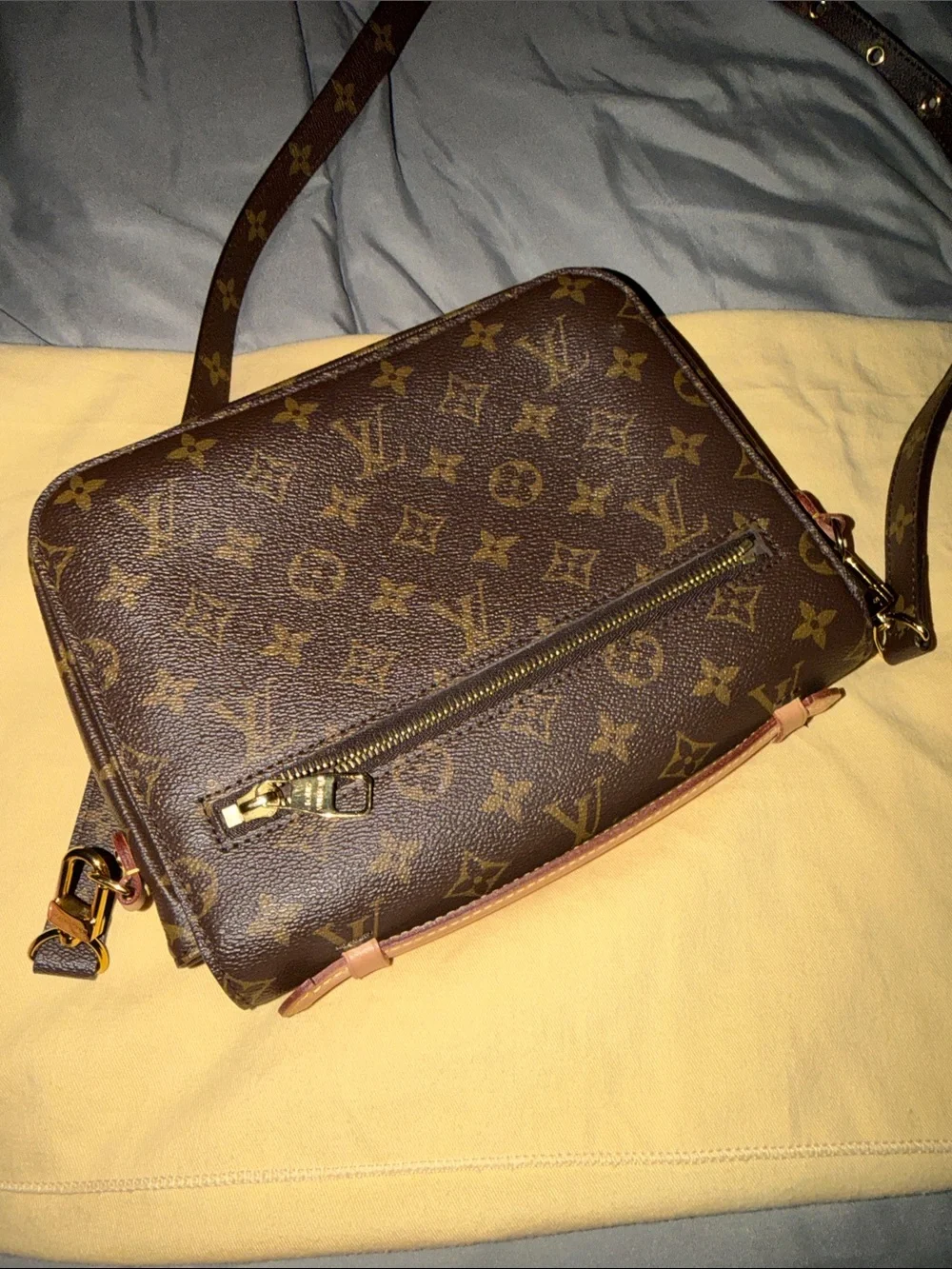 Louis Vuitton classic louis